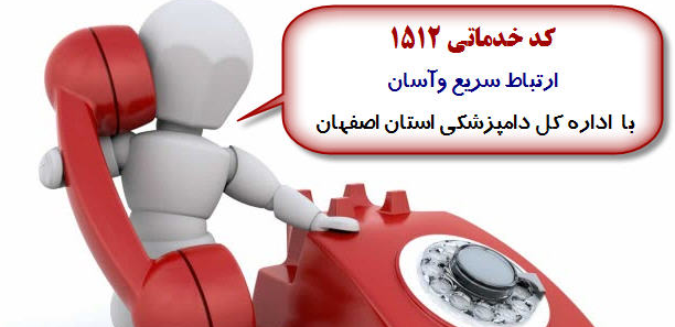پل ارتباطی
